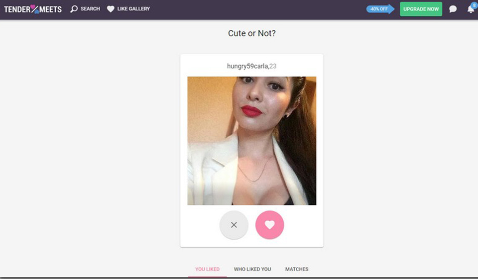 TenderMeets Profile